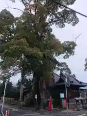 観音寺(愛知県)