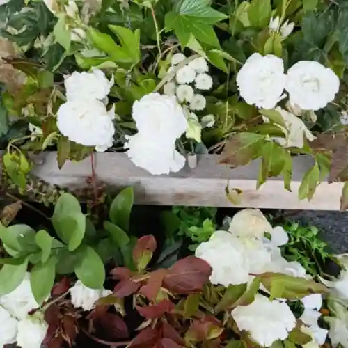 彌彦神社　(伊夜日子神社)(北海道)