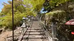 桑田神社(京都府)