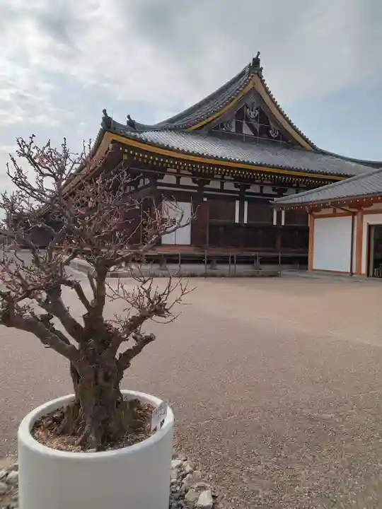 蓮華王院(三十三間堂)の本殿・本堂