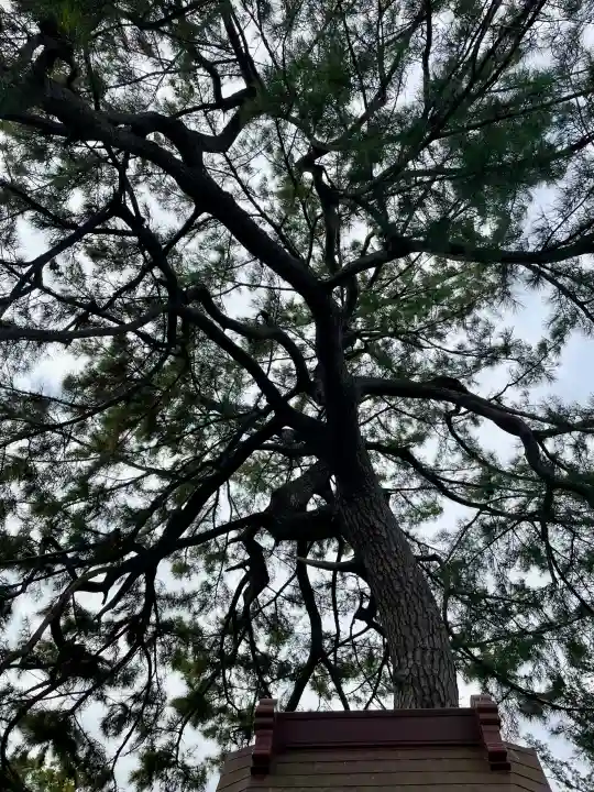 第六天神社の{uncategorized: "未分類", other: "その他", undefined: "問題あり", building: "その他建物", grave: "お墓", sacred_gate: "鳥居", guardian: "狛犬", statue: "像", buddha: "仏像", history: "歴史", nature: "自然", garden: "庭園", animal: "動物", pagoda: "塔", temizu: "手水舎", mountain_gate: "山門・神門", sanctuary: "本殿・本堂", subordinate: "末社・摂社", art: "芸術", scenery: "景色", jizo: "地蔵", ema: "絵馬", goshuin: "御朱印", omikuji: "おみくじ", items: "授与品その他", amulet: "お守り", goshuincho: "御朱印帳", eats: "食事", festival: "お祭り", votive_dance: "神楽", shichigosan: "七五三参", wedding: "結婚式", experience: "体験その他", initially: "初詣", around: "周辺", anti_infection: "感染症対策"}