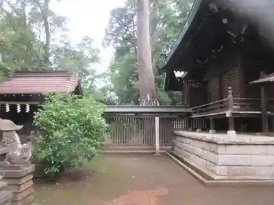 熊野神社(東京都)