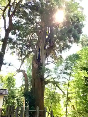 川辺八幡神社(福島県)