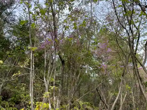 秋葉神社(京都府)