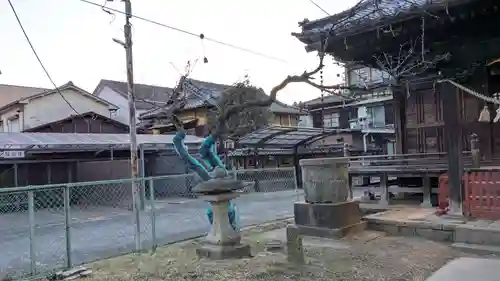 青梅神社の自然