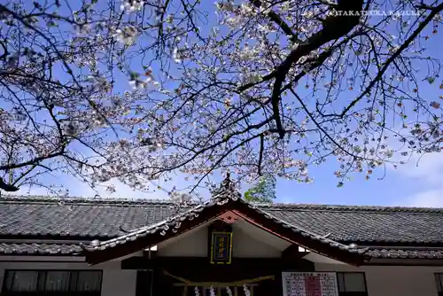 日枝神社のその他建物