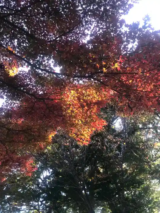 勝手神社の自然