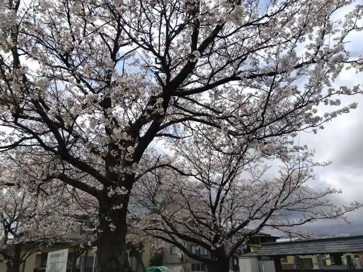 常国寺(新潟県)