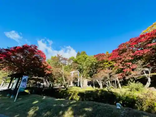 土津神社｜こどもと出世の神さまの景色