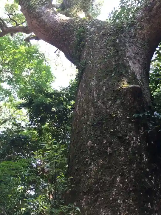 葭原神社(皇大神宮末社)の自然