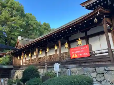 賀茂別雷神社（上賀茂神社）(京都府)