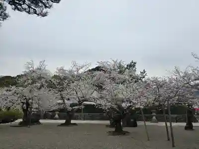 御池坊（粉河寺本坊）(和歌山県)