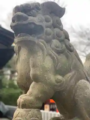 星川杉山神社の狛犬