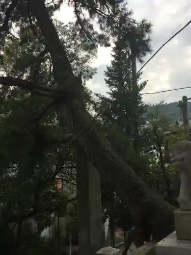 湯前神社の建物その他