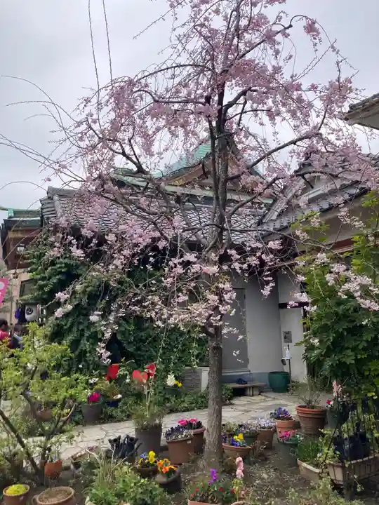 今戸神社(東京都)