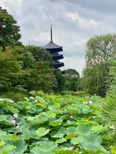 東寺（教王護国寺）のその他建物