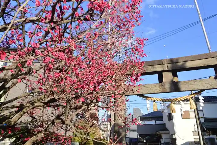 薭田神社(東京都)