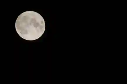 くまくま神社(導きの社 熊野町熊野神社)の自然