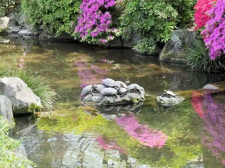 根津神社の動物