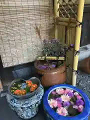 多賀神社の手水