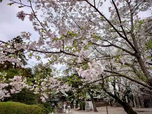 岩槻久伊豆神社(埼玉県)