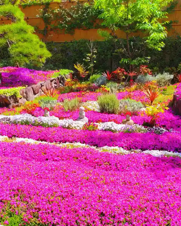 寿量山 速成寺の自然