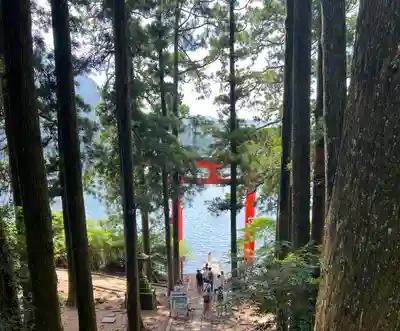 箱根神社(神奈川県)