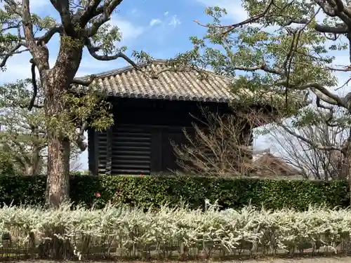 東寺（教王護国寺）(京都府)