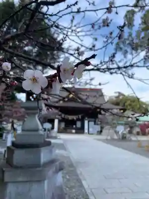 矢奈比賣神社（見付天神）(静岡県)