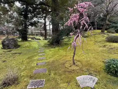 城南宮(京都府)