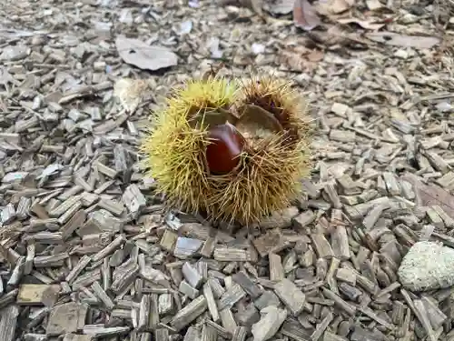 気多神社(富山県)