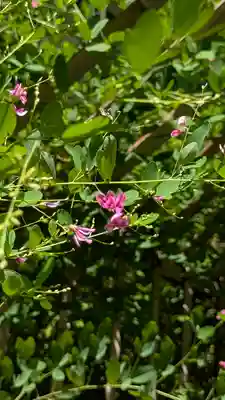 梨木神社(京都府)