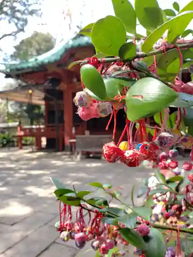 赤坂氷川神社(東京都)
