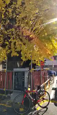 島原住吉神社(京都府)