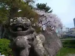 篠山神社の狛犬