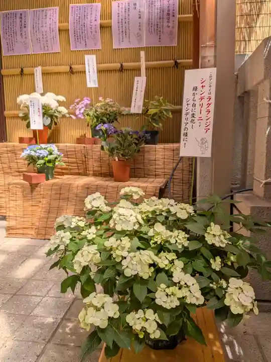 十番稲荷神社(東京都)