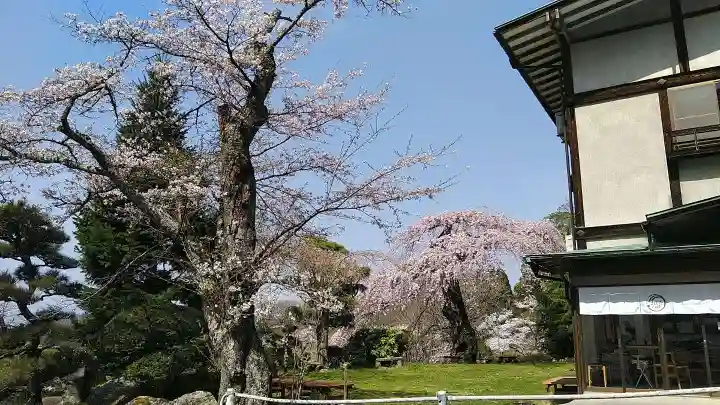 木幡山隠津島神社(二本松市)の自然