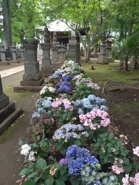 長命寺(東京都)