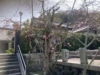 伝福寺(神奈川県)