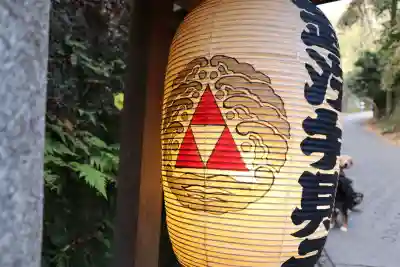 銭洗弁財天宇賀福神社の{uncategorized: "未分類", other: "その他", undefined: "問題あり", building: "その他建物", grave: "お墓", sacred_gate: "鳥居", guardian: "狛犬", statue: "像", buddha: "仏像", history: "歴史", nature: "自然", garden: "庭園", animal: "動物", pagoda: "塔", temizu: "手水舎", mountain_gate: "山門・神門", sanctuary: "本殿・本堂", subordinate: "末社・摂社", art: "芸術", scenery: "景色", jizo: "地蔵", ema: "絵馬", goshuin: "御朱印", omikuji: "おみくじ", items: "授与品その他", amulet: "お守り", goshuincho: "御朱印帳", eats: "食事", festival: "お祭り", votive_dance: "神楽", shichigosan: "七五三参", wedding: "結婚式", experience: "体験その他", initially: "初詣", around: "周辺", anti_infection: "感染症対策"}