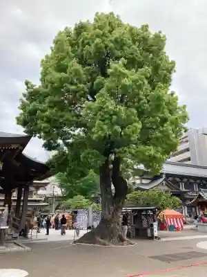 湯島天満宮(東京都)