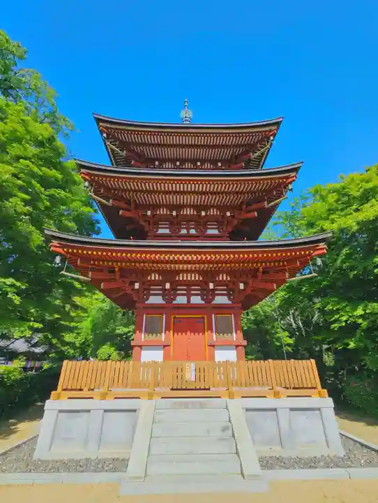 岡寺(龍蓋寺)(奈良県)