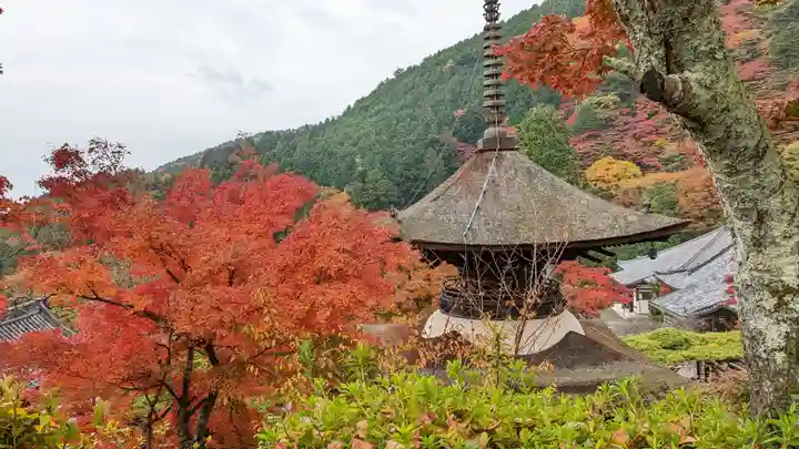 善峯寺(京都府)