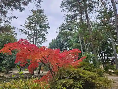 唐招提寺(奈良県)