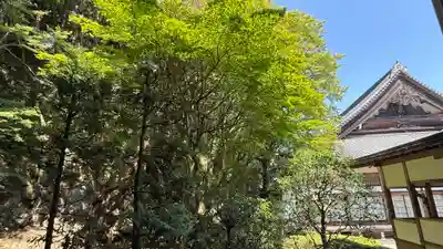 最乗寺（道了尊）(神奈川県)