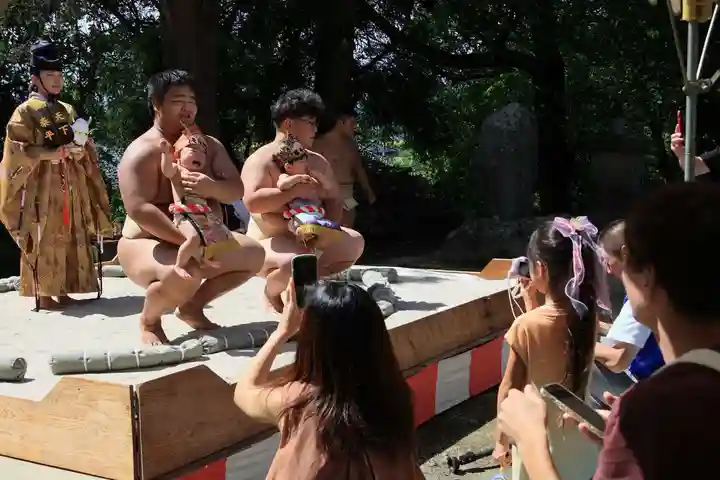隠津島神社の体験その他