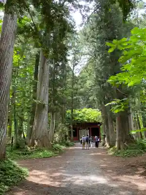 戸隠神社奥社(長野県)