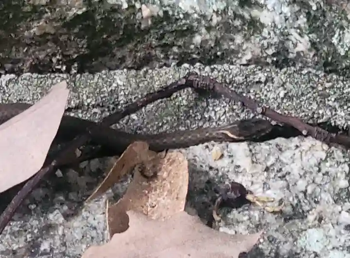 三島神社(愛媛県)
