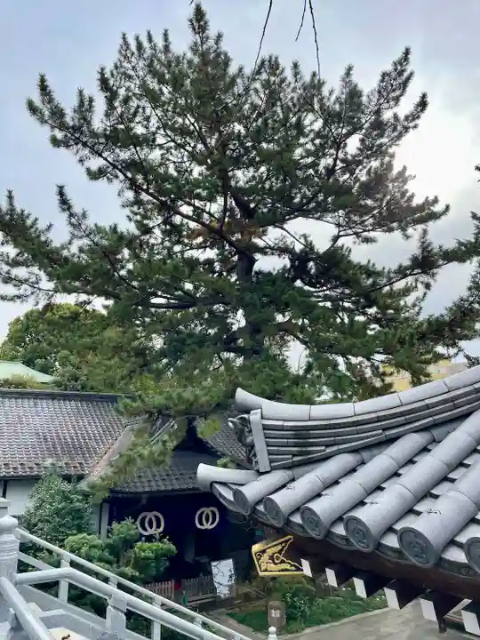 玄国寺(東京都)