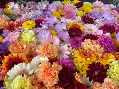 金蛇水神社(宮城県)